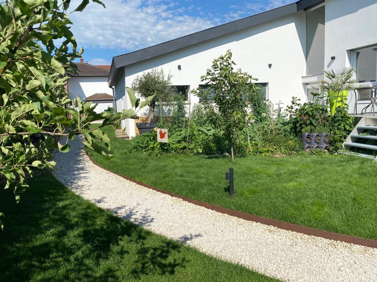 Le Clos Des Pommiers Uffholtz Екстериор снимка